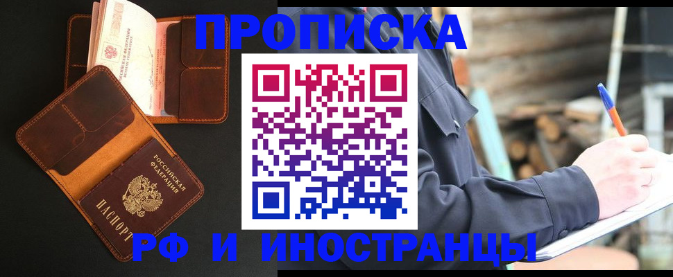 прописка 2025 в Мурино